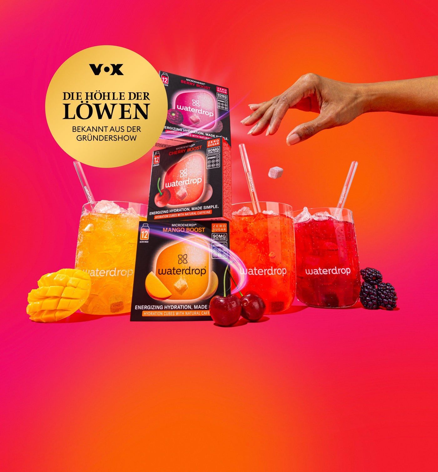 Die Höhle der Löwen NC
