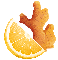 Illustration einer Ingwerknolle mit einer Orangenscheibe.
