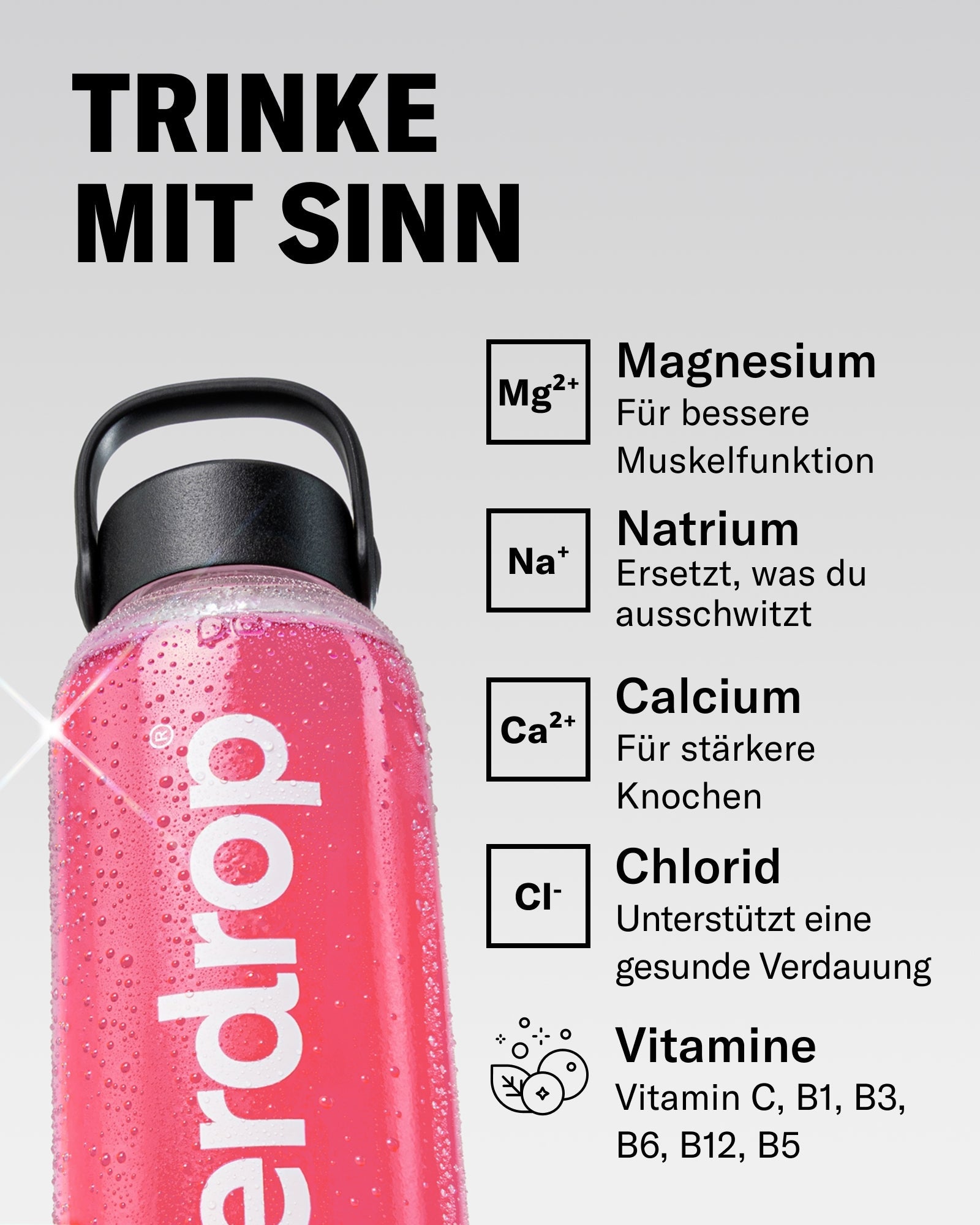 Microlyte RECHARGE Set