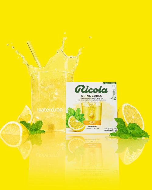 Zitrone Minze Drink Cubes neben spritzigem Glas mit Zitronen und Minze.