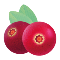 Zwei rote Preiselbeeren mit grünen Blättern.