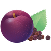 WILDE PFLAUME · IMMUNITY